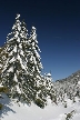 Cypress Mountain, Canada Stock Photos