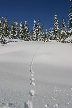 Cypress Mountain, Canada Stock Photos