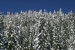 Cypress Mountain, Canada Stock Photos