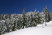 Cypress Mountain, Canada Stock Photos