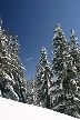 Cypress Mountain, Canada Stock Photos