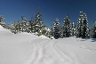 Cypress Mountain, Canada Stock Photos