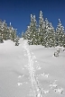 Cypress Mountain, Canada Stock Photos