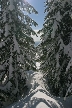 Cypress Mountain, Canada Stock Photos