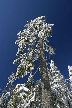 Cypress Mountain, Canada Stock Photos