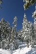 Cypress Mountain, Canada Stock Photos