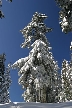 Cypress Mountain, Canada Stock Photos