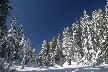 Cypress Mountain, Canada Stock Photos