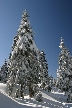 Cypress Mountain, Canada Stock Photos