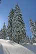 Cypress Mountain, Canada Stock Photos