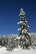 Cypress Mountain, Canada Stock Photos