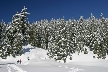 Cypress Mountain, Canada Stock Photos