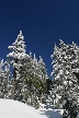 Cypress Mountain, Canada Stock Photos