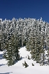 Cypress Mountain, Canada Stock Photos