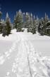 Cypress Mountain, Canada Stock Photos