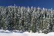 Cypress Mountain, Canada Stock Photos