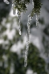 Cypress Mountain, Canada Stock Photos