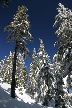 Cypress Mountain, Canada Stock Photos