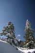 Cypress Mountain, Canada Stock Photos