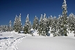 Cypress Mountain, Canada Stock Photos