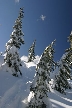 Cypress Mountain, Canada Stock Photos