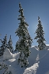 Cypress Mountain, Canada Stock Photos