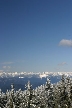 Cypress Mountain, Canada Stock Photos