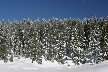 Cypress Mountain, Canada Stock Photos