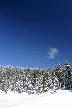 Cypress Mountain, Canada Stock Photos