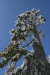 Cypress Mountain, Canada Stock Photos