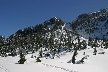 Winter At Grouse Mountains, Canada Stock Photos