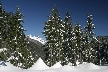 Lions Mount, Canada Stock Photos