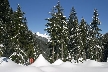 Lions Mount, Canada Stock Photos