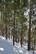 Winter, Howe Sound