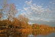 Burnaby Lake, Canada Stock Photos