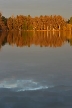 Burnaby Deer Lake Park, Canada Stock Photos