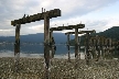 Barnet Beach, Barnet Marine Park