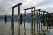 Barnet Beach, Barnet Marine Park