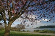 Spring At West Bay, Canada Stock Photos