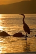 English Bay Sunset, Canada Stock Photos