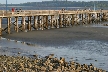 Massive White Rock, Canada Stock Photographs