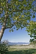 Vancouver Parks, Canada Stock Photos