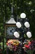 Steam Clock, Gastown