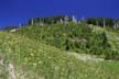 Cypress Mountain, West Vancouver