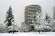 Burnaby Centeral Park, Canada Stock Photos