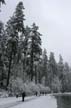 Winter Scenes, Burnaby Park