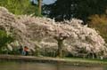 Burnaby Central Park, Canada Stock Photos