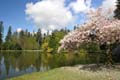 Burnaby Central Park, Canada Stock Photos