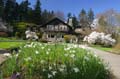 Spring Time, Stanley Park