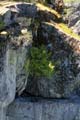 Nairn Falls, Garibaldi Provincial Park